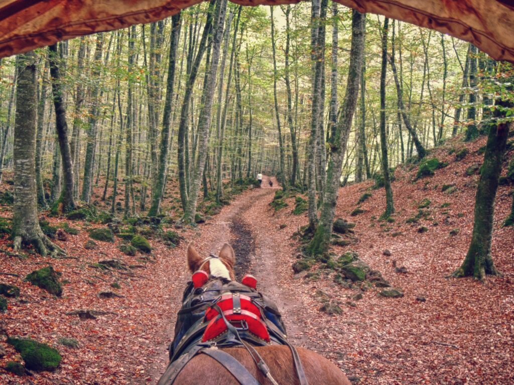    OLOT: Natura, Empresa i Tradició.