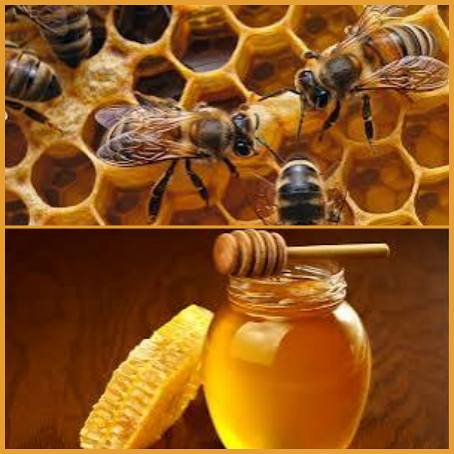 Els productes de les abelles